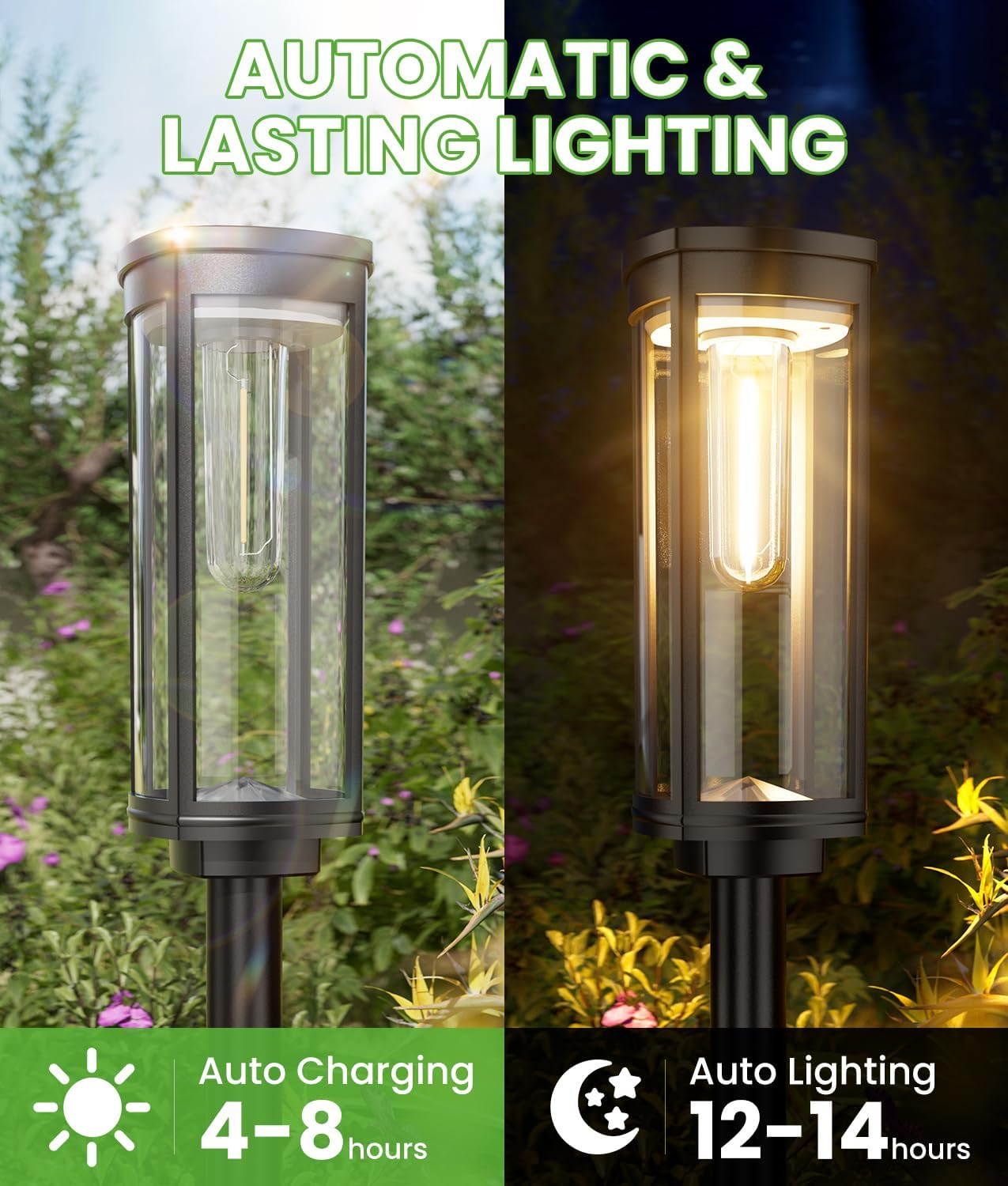 Solar Glow Path Lights