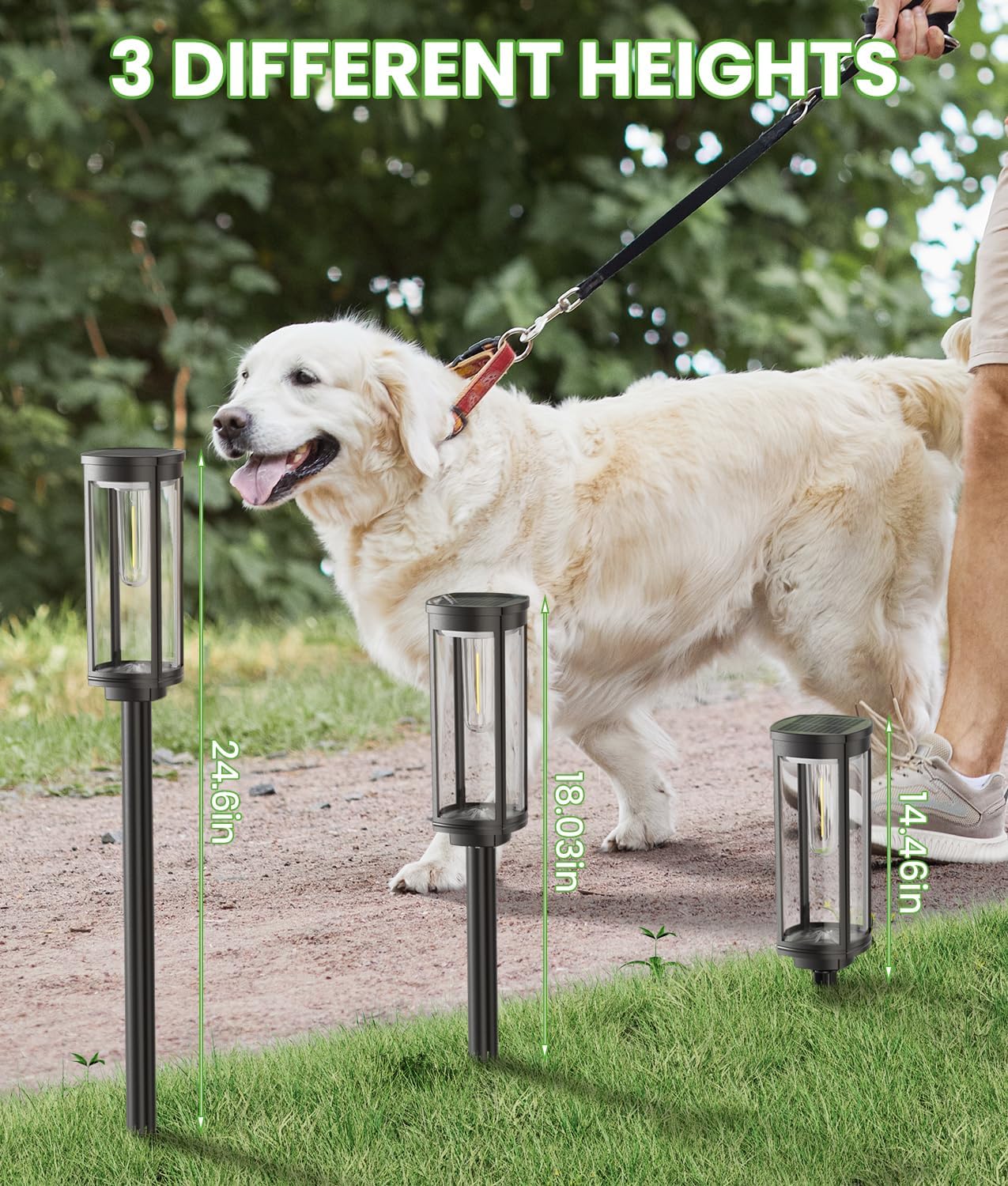 Solar Glow Path Lights